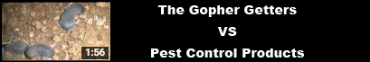 pest control and gophers